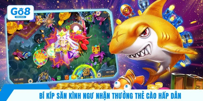 Bí kíp săn kình ngư nhận thưởng thẻ cào hấp dẫn