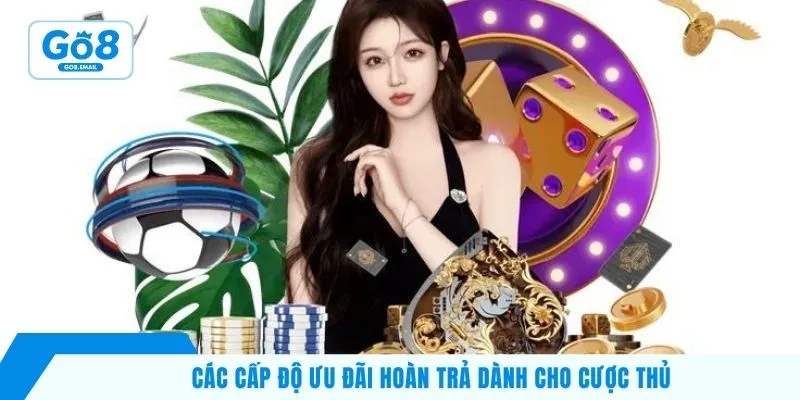 Các cấp độ ưu đãi hoàn trả dành cho cược thủ 