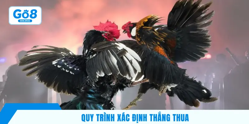 Quy trình xác định thắng thua