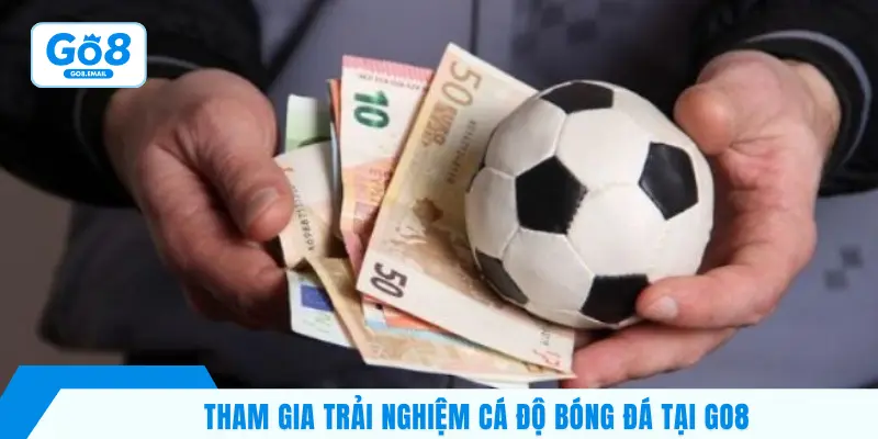 Tham gia trải nghiệm cá độ bóng đá tại GO8